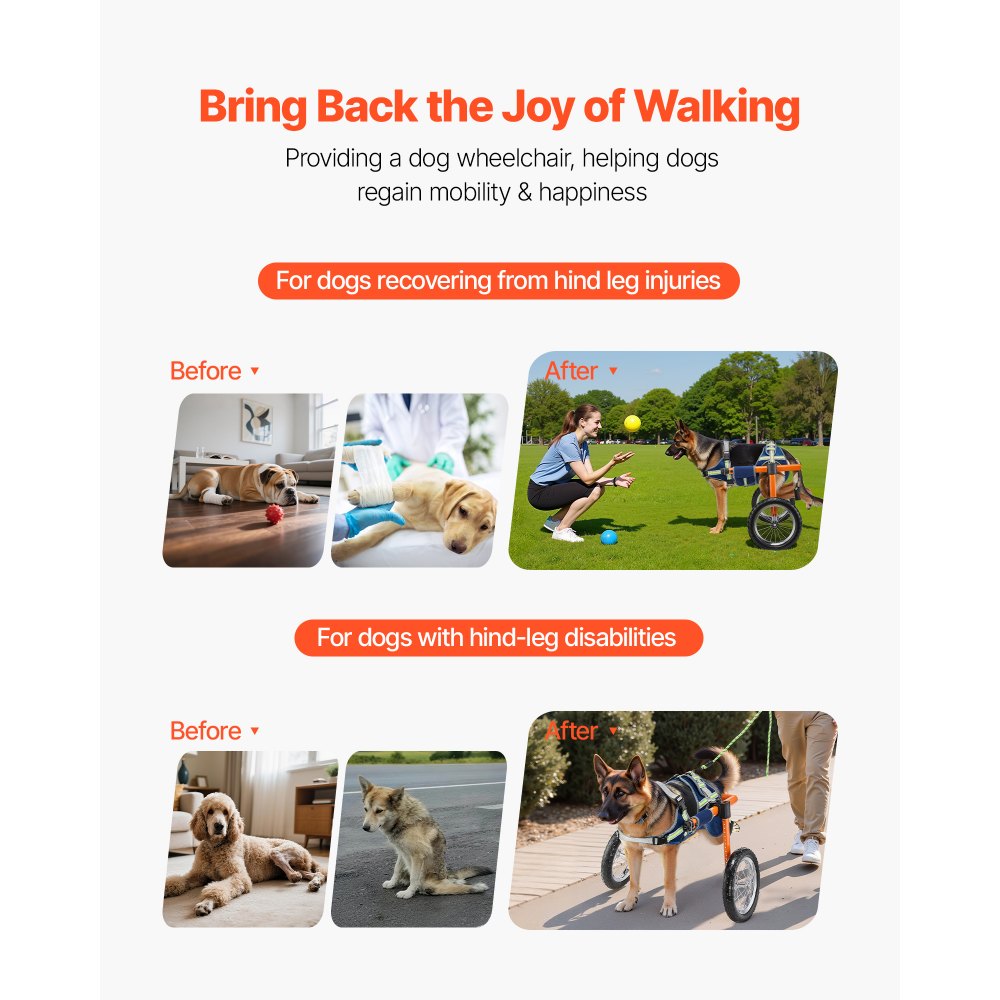 Αναπηρικό αμαξίδιο σκύλου VEVOR για πίσω πόδια, ελαφρύ 2 τροχούς, ρυθμιζόμενο σε ύψος, πλάτος και μήκος, καρότσι σκύλου με τροχούς απορρόφησης κραδασμών, για τραυματισμένους, ανάπηρους σκύλους 21,7-39,9 kg, μεγάλο Αναπηρικό αμαξίδιο σκύλου VEVOR για πίσω πόδια, ελαφρύ 2 τροχούς, ρυθμιζόμενο σε ύψος, πλάτος και μήκος, καρότσι σκύλου με τροχούς απορρόφησης κραδασμών, για τραυματισμένους, ανάπηρους σκύλους 21,7-39,9 kg, μεγάλο