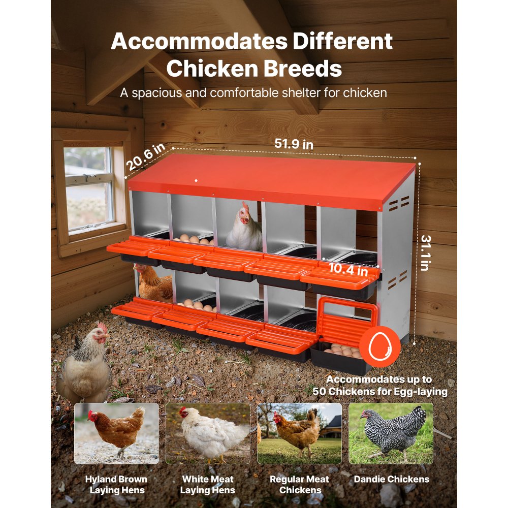 VEVOR Κουτιά φωλιάς κοτόπουλων 2 επιπέδων, 10 διαμερίσματα, μεταλλικά κουτιά ωοτοκίας αυγών με προστατευτικά καπάκια συλλογής, τυλιγόμενο κουτί φωλιάς, εύκολο στη συναρμολόγηση, ιδανικό για κότες, πάπιες, κοτόπουλα και άλλα πουλερικά VEVOR Κουτιά φωλιάς κοτόπουλων 2 επιπέδων, 10 διαμερίσματα, μεταλλικά κουτιά ωοτοκίας αυγών με προστατευτικά καπάκια συλλογής, τυλιγόμενο κουτί φωλιάς, εύκολο στη συναρμολόγηση, ιδανικό για κότες, πάπιες, κοτόπουλα και άλλα πουλερικά