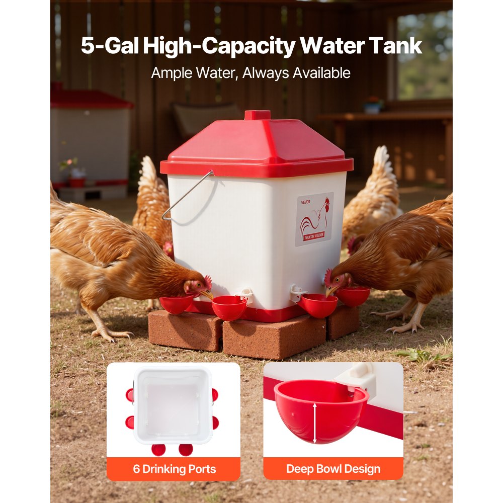 Αυτόματο ποτιστήρι κοτόπουλου VEVOR 19L, 6 θύρες νερού, αυτόματο δοχείο νερού, αυτόματο ποτιστήρι βαρύτητας με βολική λαβή και σφραγισμένο ελαστικό δακτύλιο, αδιάβροχο υλικό PP, σχεδιασμός χωρίς απόβλητα, για κοτόπουλο Αυτόματο ποτιστήρι κοτόπουλου VEVOR 19L, 6 θύρες νερού, αυτόματο δοχείο νερού, αυτόματο ποτιστήρι βαρύτητας με βολική λαβή και σφραγισμένο ελαστικό δακτύλιο, αδιάβροχο υλικό PP, σχεδιασμός χωρίς απόβλητα, για κοτόπουλο