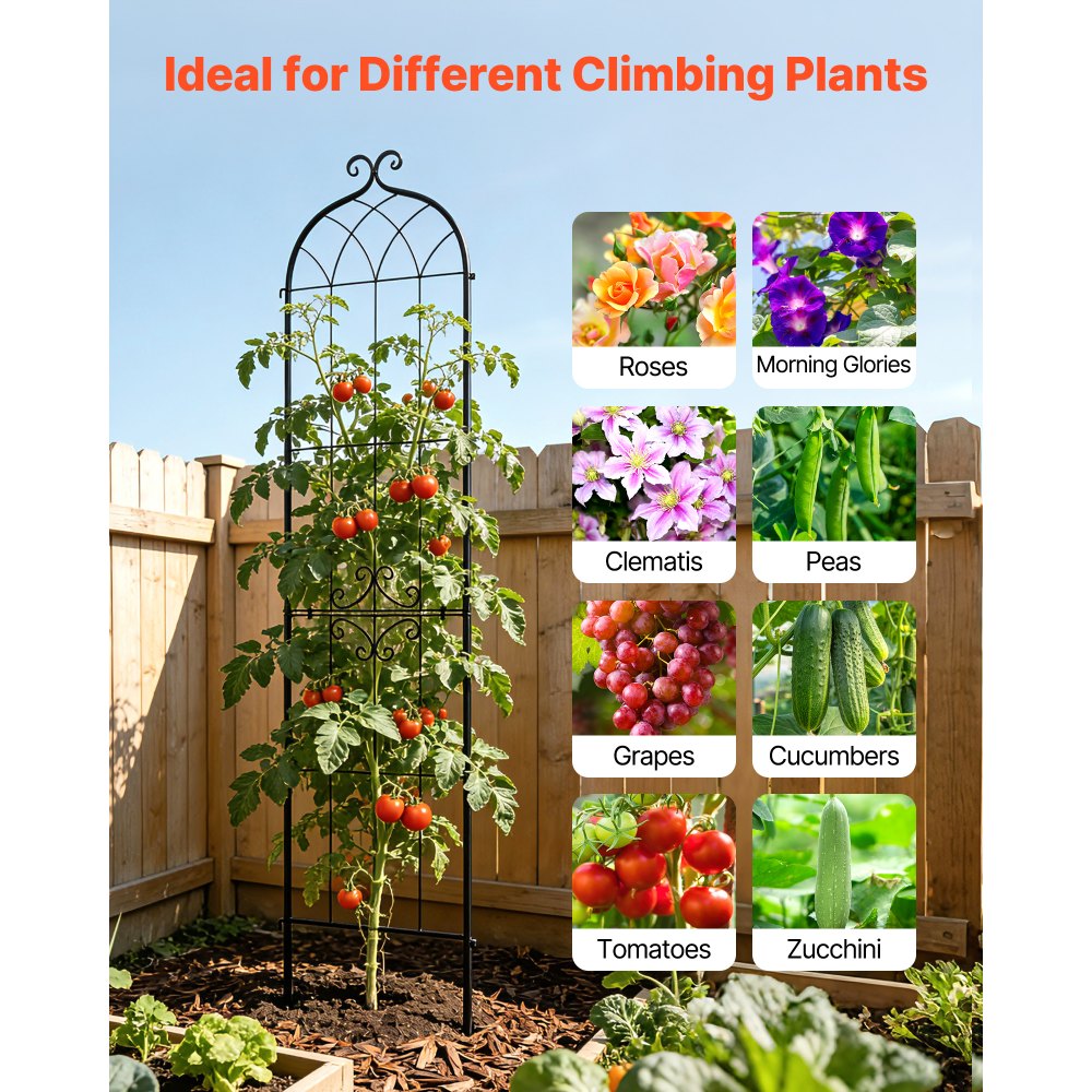 Πλέγμα Κήπου VEVOR, Πλέγμα Τριανταφυλλιάς 220 x 52,5 cm, Συσκευασία 4 Πλέγματα Τριανταφυλλιάς για Λουλούδια Κήπου με Φινίρισμα Ηλεκτροστατικής Βαφής & Βολικό Σχεδιασμό Κλειδώματος, Πλέγματα Στήριξης Φυτών για Λουλούδια, Λαχανικά, Τριαντάφυλλα Πλέγμα Κήπου VEVOR, Πλέγμα Τριανταφυλλιάς 220 x 52,5 cm, Συσκευασία 4 Πλέγματα Τριανταφυλλιάς για Λουλούδια Κήπου με Φινίρισμα Ηλεκτροστατικής Βαφής & Βολικό Σχεδιασμό Κλειδώματος, Πλέγματα Στήριξης Φυτών για Λουλούδια, Λαχανικά, Τριαντάφυλλα