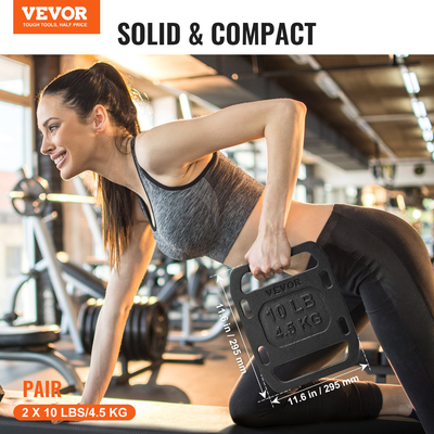 VEVOR Χυτοσίδηρο Ruck Weights for Rucking Weight Plate with Handle 10LB Pairs