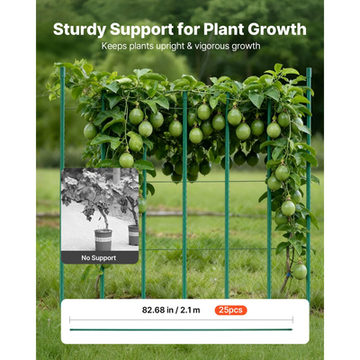 Πασσάλους κήπου VEVOR, Συσκευασία των 25, 2100 mm, Μεταλλικοί πασσάλοι ντομάτας με πλαστική επίστρωση, Ραβδιά κήπου για στήριξη φυτών, με μυτερό άκρο και αντιολισθητικά εξογκώματα για καλλιέργεια αναρριχώμενων φυτών, Λαχανικά εξωτερικού χώρου