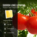 VEVOR LED Φως ανάπτυξης, 200W Πλήρες φάσμα Dimmable, Υψηλής απόδοσης Samsung 2B1B Diodes Λαμπτήρας καλλιέργειας για φυτά εσωτερικού χώρου Σπορόφυτα Veg και Bloom Θερμοκήπιο Καλλιέργεια, Daisy Chain Driver για 2x4/3x3 ft Grow Tent