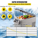 VEVOR Car Refrigerator 35L Compressor Portable Μικρό Ψυγείο Αυτοκινήτου Ψυγείο Κατάψυξη Vehicle Car Truck RV Boat Mini Cooler for Driving Travel Fishing Outdoor and Home