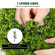 VEVOR Artificial Topiaries Πυξάρι, ύψους 24 ιντσών (2 τεμάχια), Φυτό σε σχήμα μπάλας Faux Topiaries με ζαρντινιέρες, Πράσινο φυτό Feaux με Αντικαταστάσιμα φύλλα &amp; Λιμάνι για Διακοσμητικούς εσωτερικούς/Εξωτερικούς χώρους/Κήπο