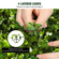 VEVOR Artificial Topiaries Πυξάρι, 3 πόδια ψηλό (2 τεμάχια) Faux topiary φυτό εξωτερικού χώρου, όλο το χρόνο πράσινο φυτό Feaux με αντικαταστάσιμα φύλλα για διακοσμητικά εσωτερικούς / εξωτερικούς χώρους / κήπο