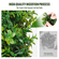 VEVOR 2 Pack 3&#039; Artificial Boxwood Topiary Tree Faux Plant UV Decor In/Outdoor
