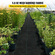 VEVOR Weed Barrier, 5,8 oz Landscape Fabric, 3ft x 300ft Cover Mat Heavy Duty Woven Grass Control Geotextile for Garden, Patio, Black