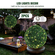 VEVOR Artificial Topiaries Πυξάρι, 20&quot; ψηλό (2 τεμάχια), φυτό ψεύτικο τοπίαρι σε σχήμα μπάλας, διακοσμητικές μπάλες πράσινων φυτών Feaux για όλο το χρόνο για αυλή, μπαλκόνι, κήπο, διακόσμηση γάμου και σπιτιού
