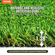 VEVOR Τεχνητό γρασίδι, 5 x 10 ft Rug Green Turf, 1,38&quot; ψεύτικο χαλάκι πόρτας Διακόσμηση γκαζόν εξωτερικού χώρου, εύκολο να καθαριστεί με οπές αποστράγγισης, ιδανικό για πατάκια ξύστρα για σκύλους εσωτερικού χώρου εισόδου πολλαπλών χρήσεων