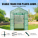 VEVOR Walk-in Green House, 4,6 x 2,4 x 6,7 ft Θερμοκήπιο με ράφια, ρύθμιση σε λίγα λεπτά, κάλυμμα PE υψηλής αντοχής με πόρτες και παράθυρα και ατσάλινο πλαίσιο, κατάλληλο για φύτευση και αποθήκευση, πράσινο