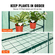 VEVOR Walk-in Green House, 4,6 x 2,4 x 6,7 ft Θερμοκήπιο με ράφια, ρύθμιση σε λίγα λεπτά, κάλυμμα PE υψηλής αντοχής με πόρτες και παράθυρα και ατσάλινο πλαίσιο, κατάλληλο για φύτευση και αποθήκευση, πράσινο