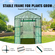 VEVOR Walk-in Green House, 4,6 x 4,6 x 6,6 ft Θερμοκήπιο με ράφια, ρύθμιση σε λίγα λεπτά, κάλυμμα PE υψηλής αντοχής με πόρτες και παράθυρα και ατσάλινο πλαίσιο, κατάλληλο για φύτευση και αποθήκευση, πράσινο