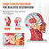 VEVOR Human Half Head Surfacial Neurovascular Model with Musculature, 1:1 Φυσικό Μέγεθος Ανατομικό Μοντέλο Κεφαλής Αυχένα Κρανίο και Εγκέφαλος για Εκμάθηση Επαγγελματικής Εκπαίδευσης, Εκπαίδευση Εκμάθησης για παιδιά