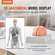 VEVOR Human Brain Model Anatomy, Ανατομικό μοντέλο ανθρώπινου εγκεφάλου 1:1 φυσικού μεγέθους 9-τμημάτων με ετικέτες &amp; βάση προβολής, αποσπώμενο μοντέλο εγκεφάλου για επιστημονική έρευνα Διδασκαλία Μάθηση Οθόνη Μελέτη στην τάξη