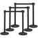 Βάλοι VEVOR Crowd Control Stanchions, 6-pack Crowd Control Barriers with 3PCS 6.5FT Black Retractable Belts, Plastic Stanchion Queue Post, Belt Barriers Line Divider Stanchion set for Airport, Exhibition