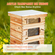 VEVOR Bee Hive 30 Frame Bee Hives Starter Kit, Beeswax Coated Wood Cedar, 2 Deep + 1 Medium Bee Boxes Kit Langstroth Beehive, Διαφανή ακρυλικά παράθυρα με βάση για αρχάριους επαγγελματίες μελισσοκόμους