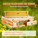 VEVOR Bee Hive Langstroth Kit Medium Beehive 10 Frames Acrylic Bee Windows