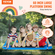 VEVOR Platform Swing 60 Inch Platform Tree Swing για παιδιά Χωρητικότητα βάρους 700 λίβρες
