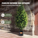 VEVOR 2 Pack 3&#039; Artificial Cedar Topiary Tree Faux Plant UV Decor In/Outdoor