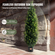 VEVOR 2 Pack 4&#039; Artificial Cedar Topiary Tree Faux Plant UV Decor In/Outdoor