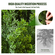 VEVOR 2 Pack 5&#039; Artificial Cedar Topiary Tree Faux Plant UV Decor In/Outdoor
