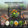 VEVOR 5 Pack Plant Protector from Animals 13,4&#039;&#039; x 13,4&#039;&#039; Metal Plant Cage