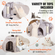 VEVOR Cat Tree 31,4&quot; Cat Tower with Cat Condo Sisal Scratching Post Ανοιχτό γκρι