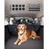 VEVOR Dog Carrier Barrier 38&quot;-66,3&quot; Ρυθμιζόμενη πύλη διαιρέτη για κατοικίδια για χώρο φορτίου