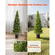 Τεχνητά Κέδροι VEVOR Topiary, Σετ 2 Φυτών Ψεύτικου Πεύκου 1219 χιλιοστών, Ψεύτικο Δέντρο Μεταξιού που Φαίνεται Αληθινό, Εύκολη Συναρμολόγηση για Διακόσμηση, Μπροστινή Βεράντα, Εξωτερική Αίθριο, Κήπος, Μπαλκόνι, Αυλή, Εσωτερικό Γραφείο